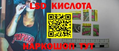 прущие грибы Пенза