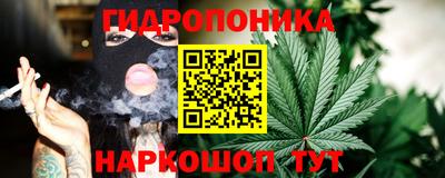 прущие грибы Пенза