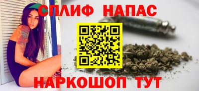 прущие грибы Пенза
