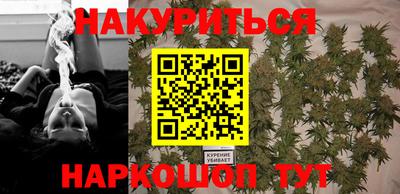 прущие грибы Пенза
