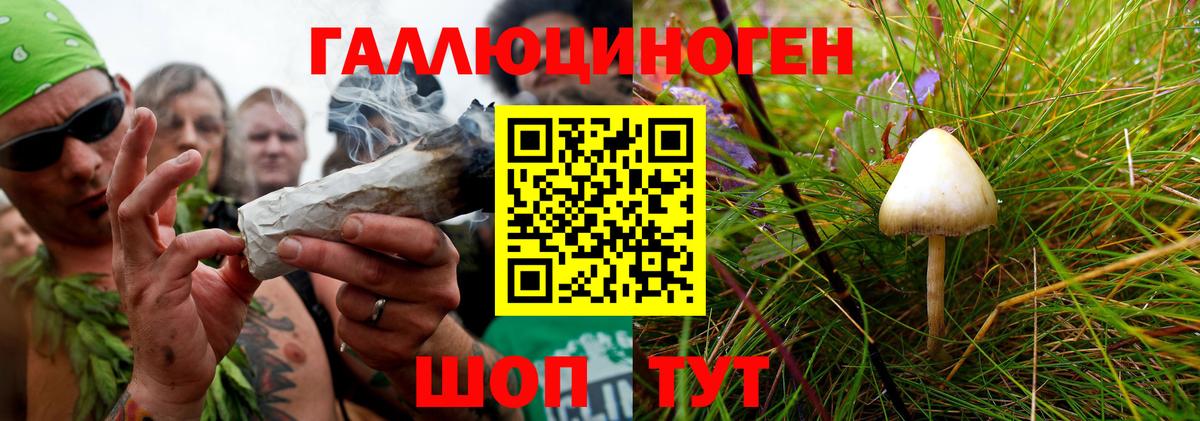 Псилоцибиновые грибы прущие грибы  Вход с VPN  Полысаево 